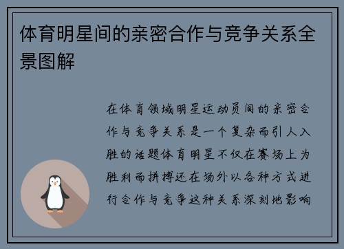 体育明星间的亲密合作与竞争关系全景图解
