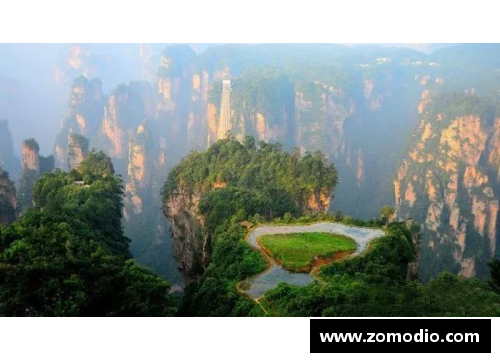 张家界地区体育明星全景展示与成就回顾图鉴