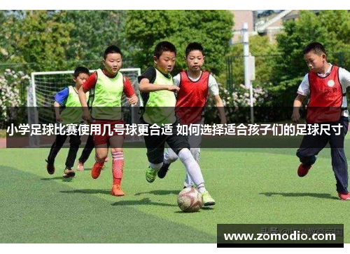 小学足球比赛使用几号球更合适 如何选择适合孩子们的足球尺寸